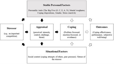 A Path Analysis of Adolescent Athletes’ Perceived Stress Reactivity, Competition Appraisals, Emotions, Coping, and Performance Satisfaction